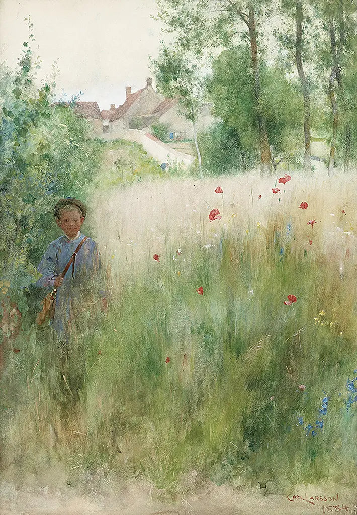 Vallmor Mohn (1884)