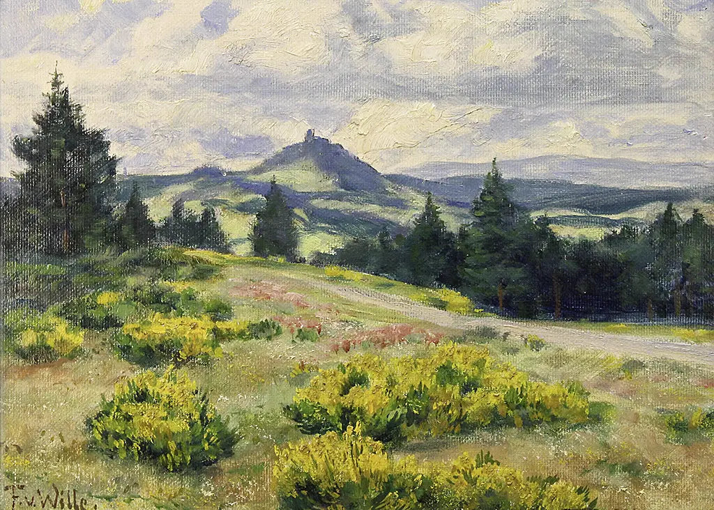 Ginsterblüte in der Eifel mit Blick auf die Hohe Acht
